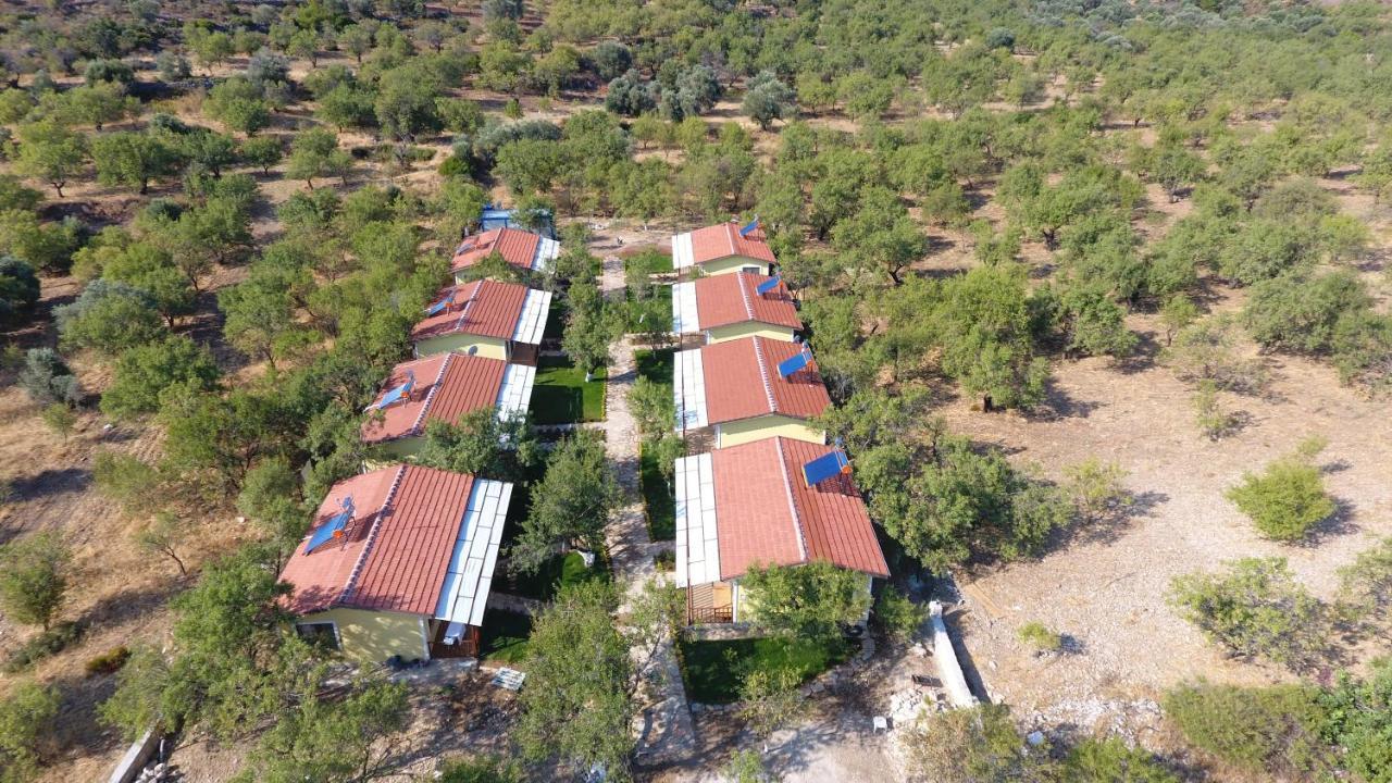 Hotel Selerdoga Evleri Palamutbükü Esterno foto