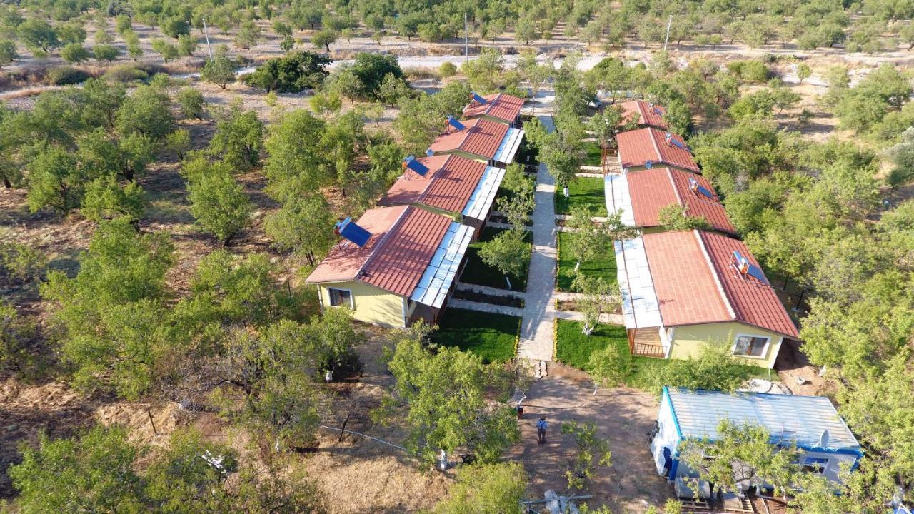 Hotel Selerdoga Evleri Palamutbükü Esterno foto